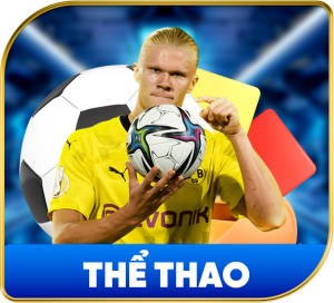 DV88 10 the-thao-300x272